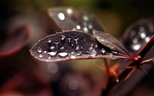 1756662 (a): :1920x1200